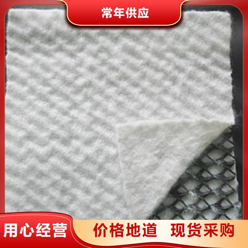 三維復(fù)合排水網(wǎng)單向塑料土工格柵可定制有保障