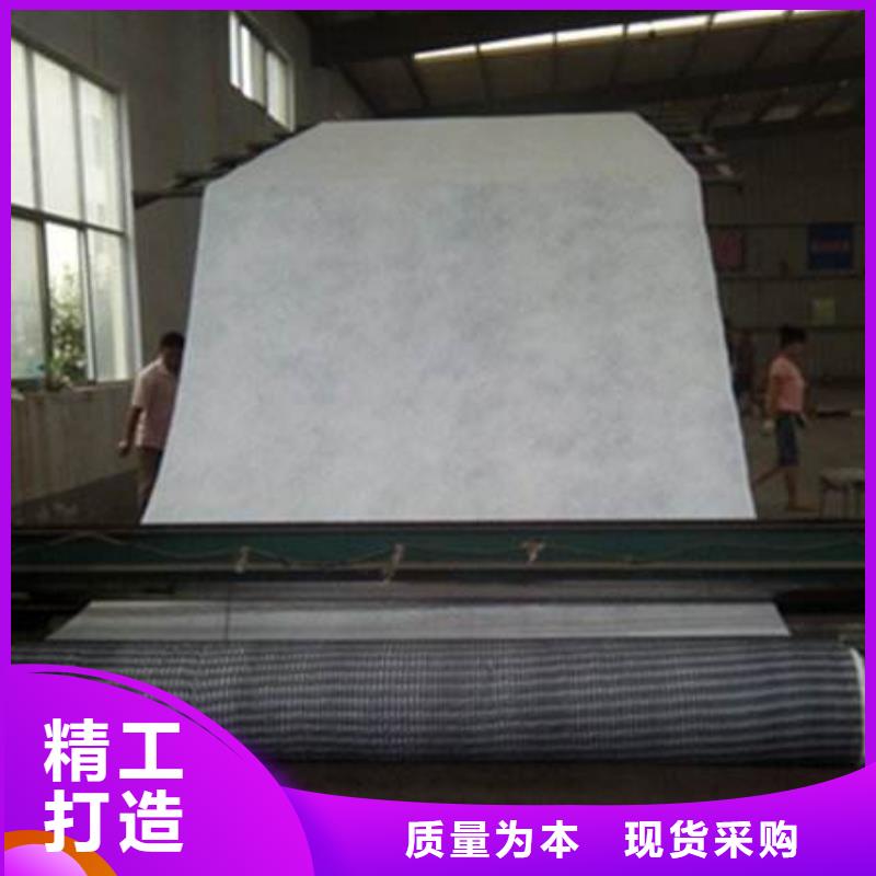 三維復(fù)合排水網(wǎng)單向塑料土工格柵可定制有保障