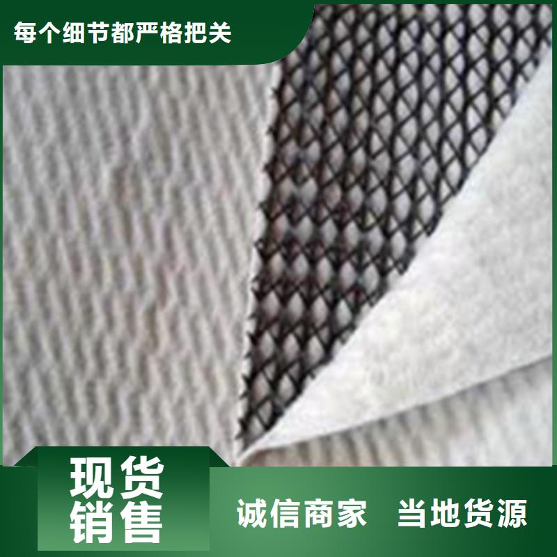 三维复合排水网HDPE黑色土工膜品类齐全