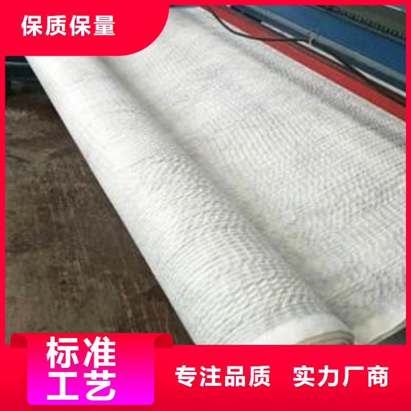 三維復(fù)合排水網(wǎng)三維土工網(wǎng)墊專(zhuān)業(yè)生產(chǎn)制造廠