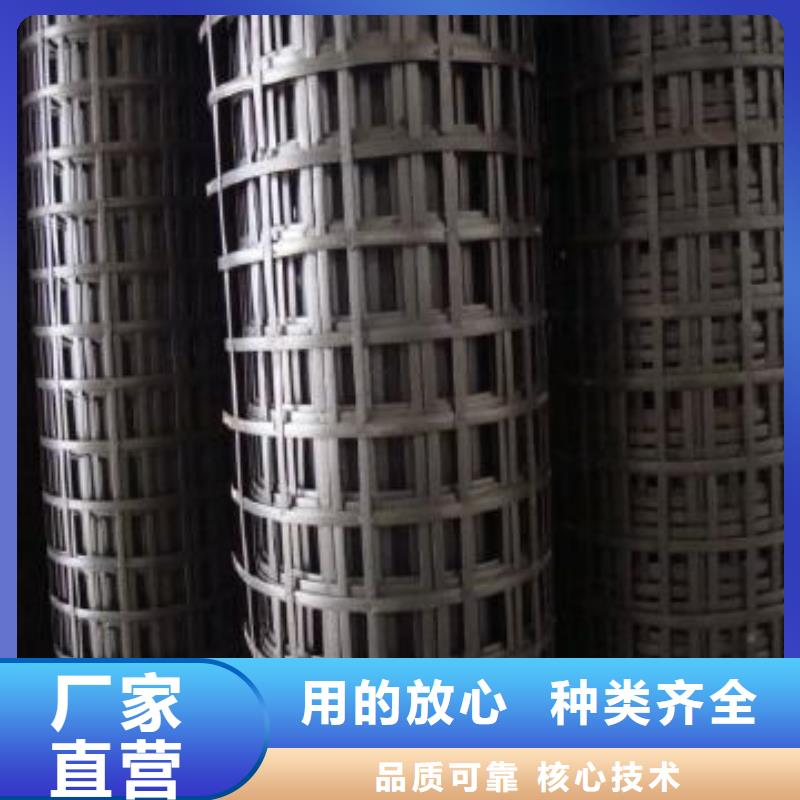 鋼塑土工格柵HDPE土工膜實(shí)地大廠