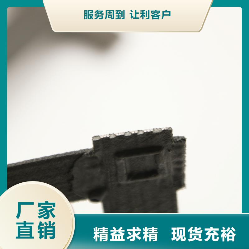 鋼塑土工格柵單向塑料格柵型號齊全