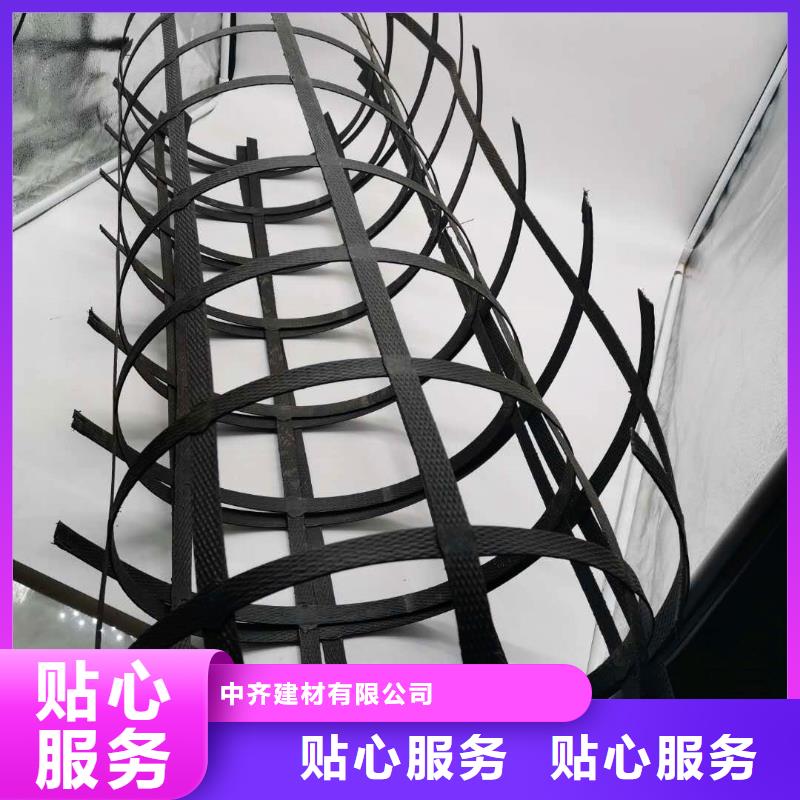 鋼塑土工格柵單向塑料格柵型號齊全