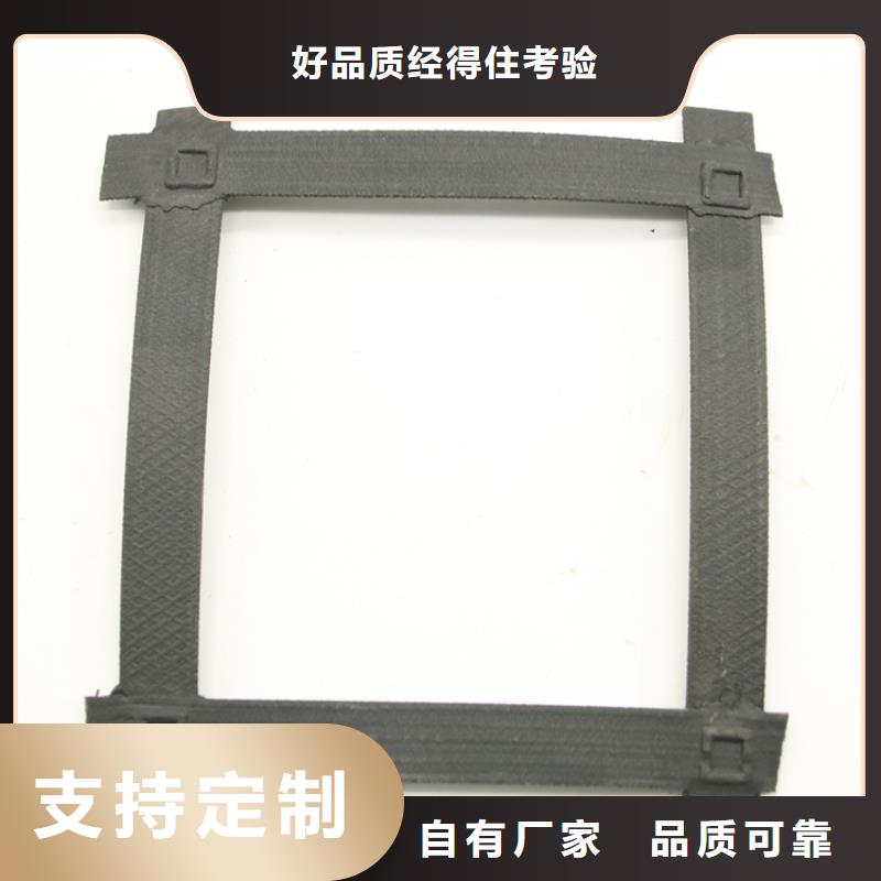 鋼塑土工格柵單向塑料格柵型號(hào)齊全