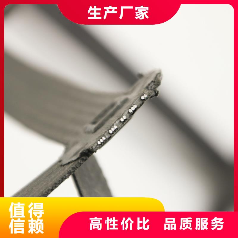 鋼塑土工格柵單向塑料格柵型號(hào)齊全