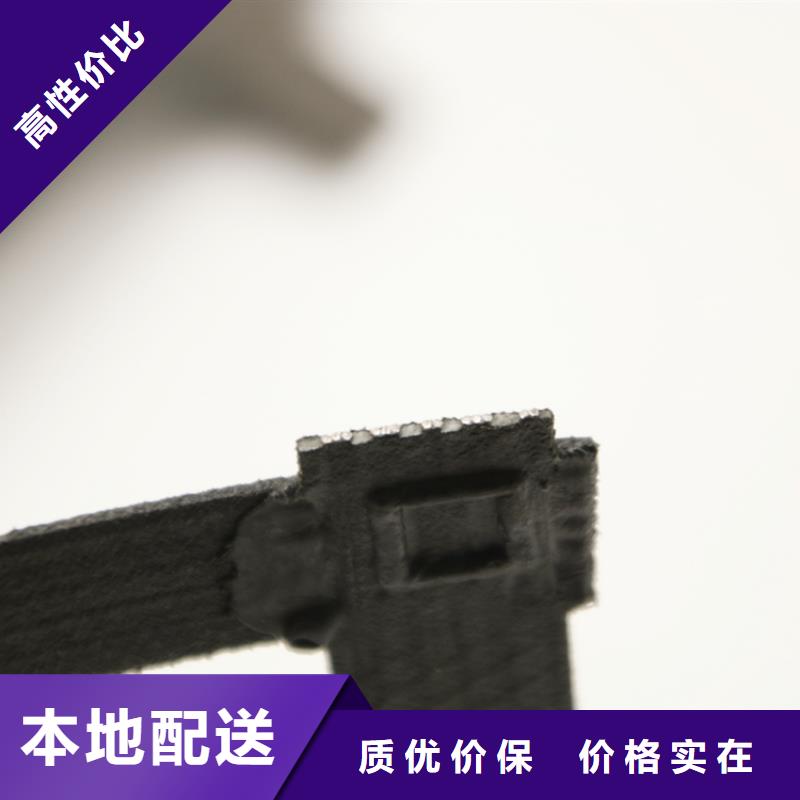 鋼塑土工格柵單向塑料格柵型號(hào)齊全