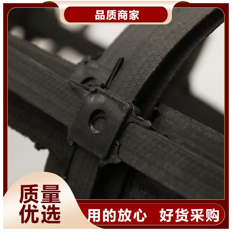 鋼塑土工格柵單向塑料格柵型號(hào)齊全