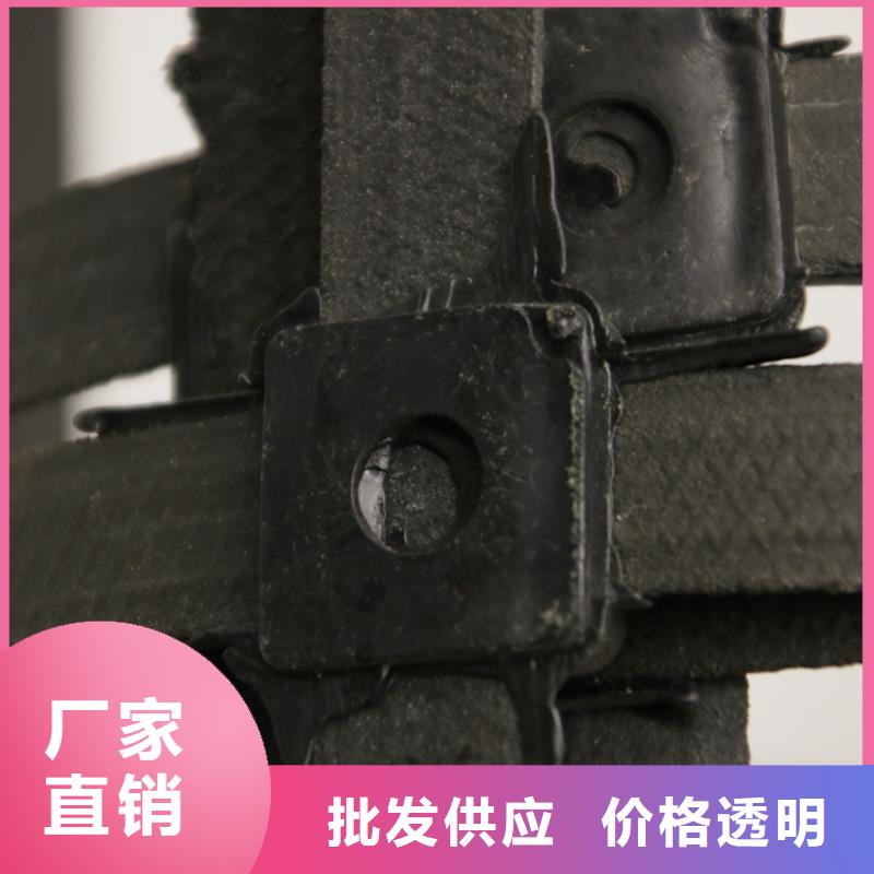 鋼塑土工格柵單向塑料格柵型號(hào)齊全