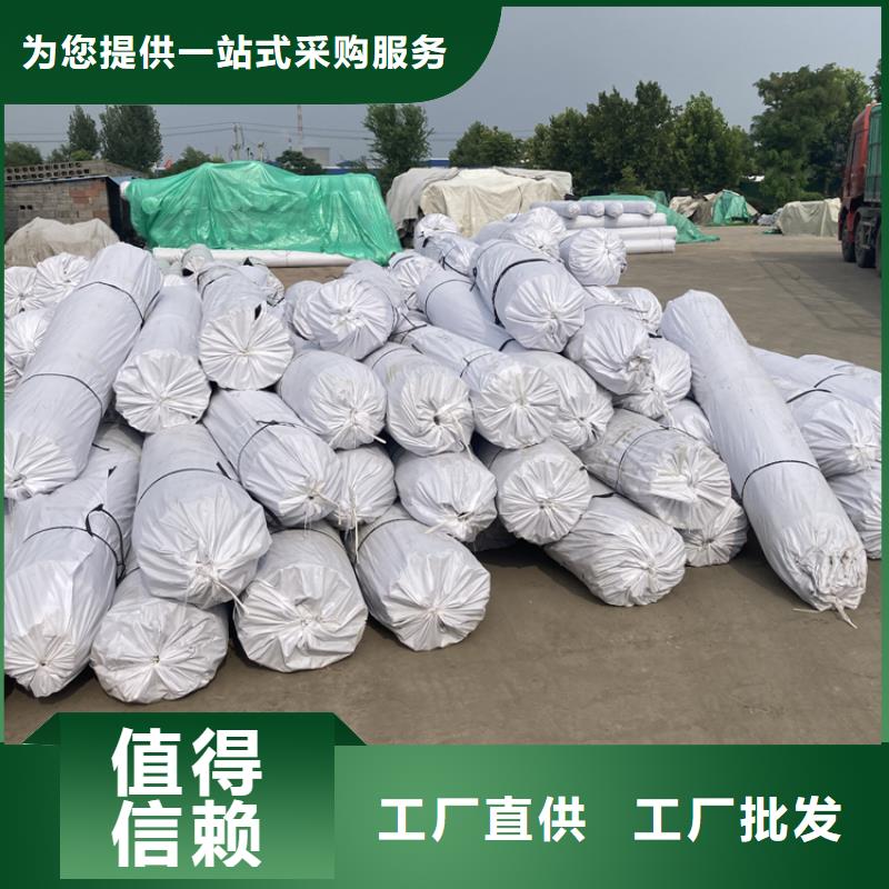 鋼塑土工格柵單向塑料格柵型號(hào)齊全