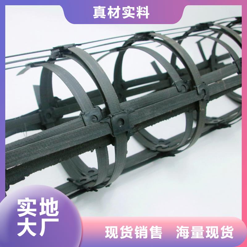 鋼塑土工格柵單向塑料格柵型號(hào)齊全