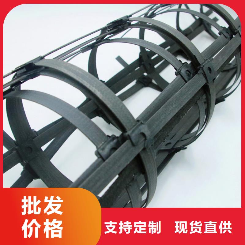 鋼塑土工格柵單向塑料格柵型號(hào)齊全