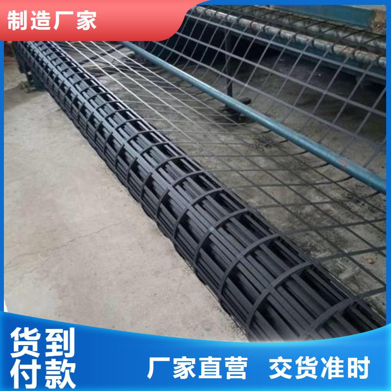 鋼塑土工格柵單向塑料格柵型號(hào)齊全
