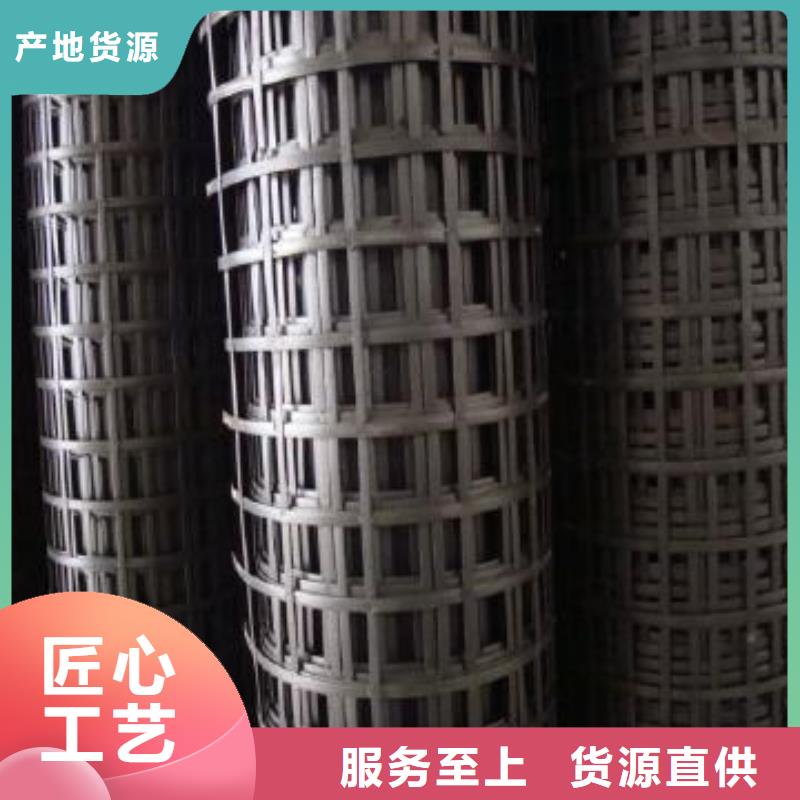 鋼塑土工格柵單向塑料格柵型號(hào)齊全