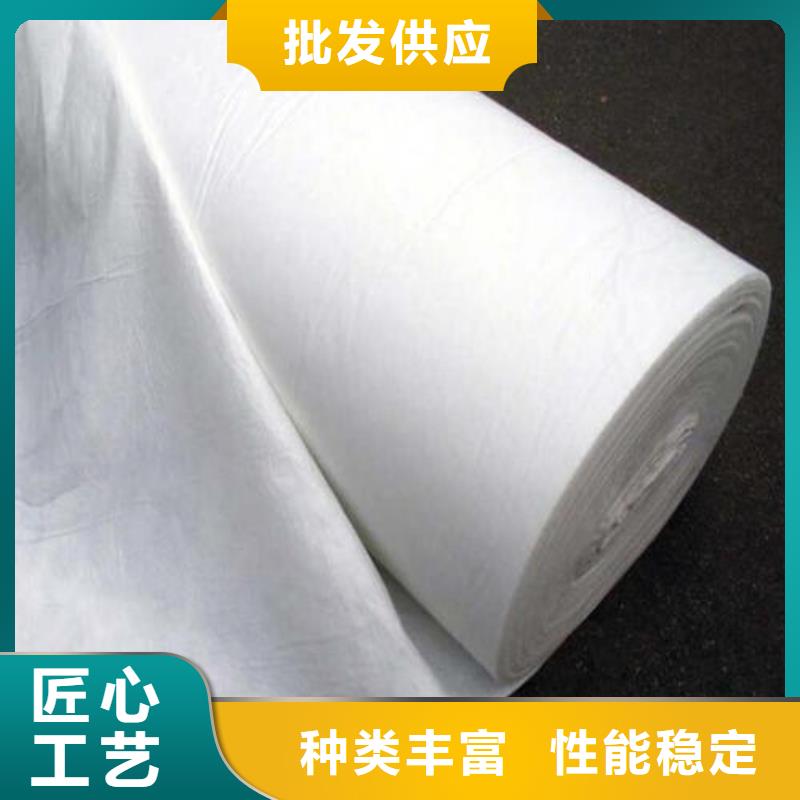 土工布單向塑料土工格柵就近發(fā)貨