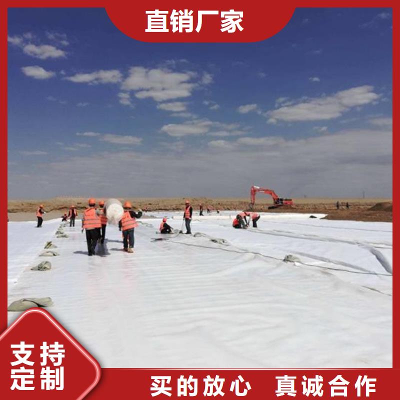 土工布单向塑料格栅产地源头好货