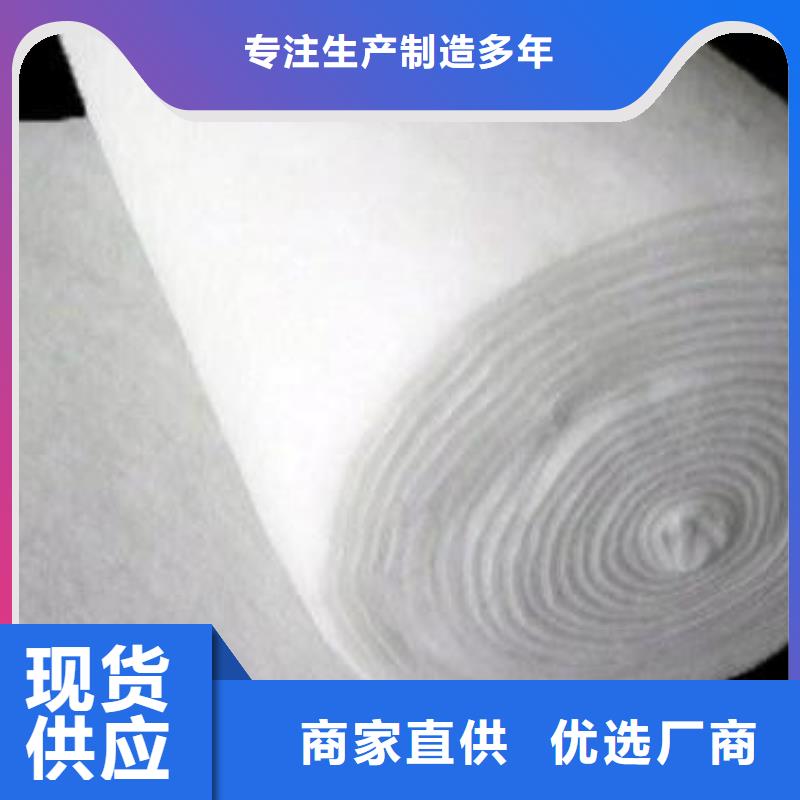 土工布滌綸土工格柵國標檢測放心購買