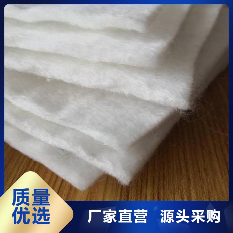 土工布双向塑料格栅免费询价