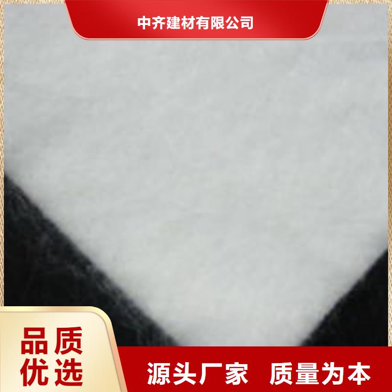土工布玻纖土工格柵注重細(xì)節(jié)