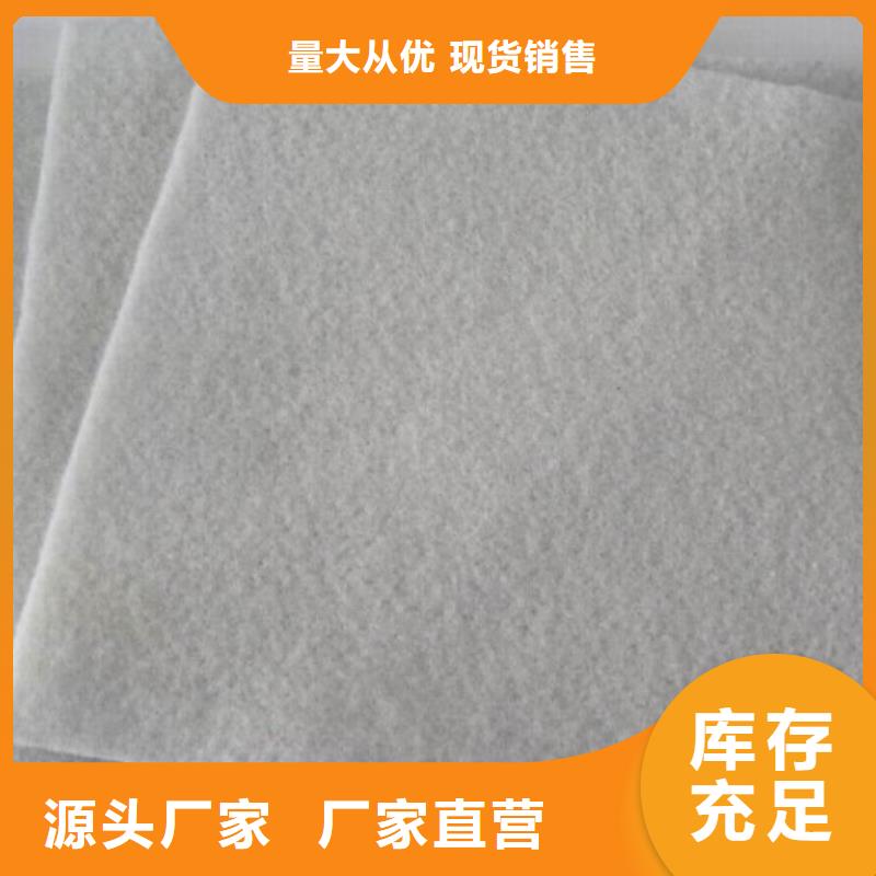 土工布单向塑料格栅产地源头好货