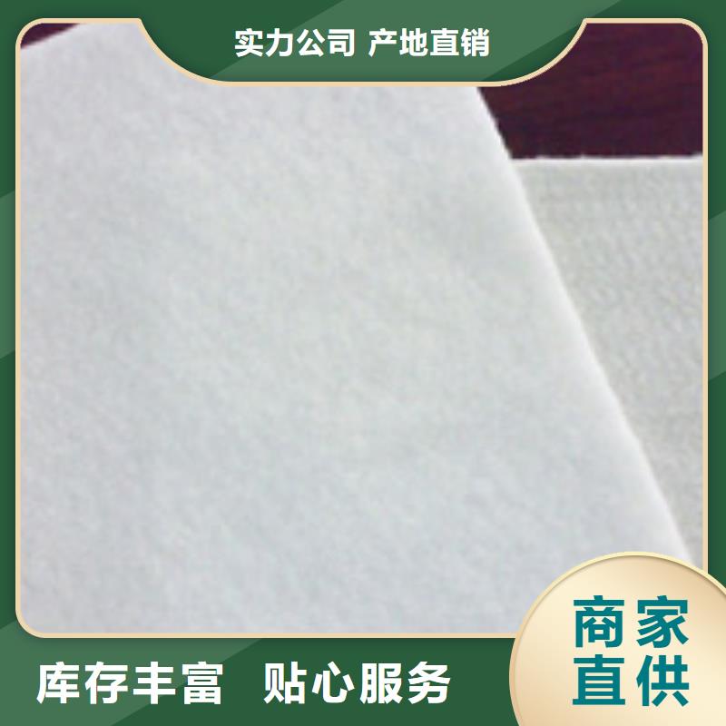 土工布雙向塑料格柵物流配貨上門