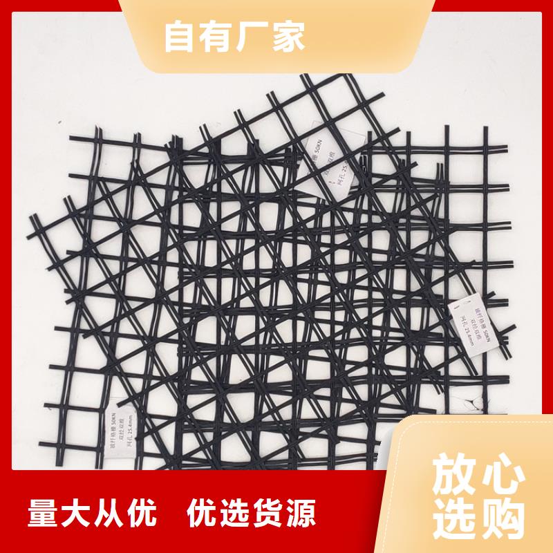 玻纖土工格柵鋼塑土工格柵專業(yè)廠家