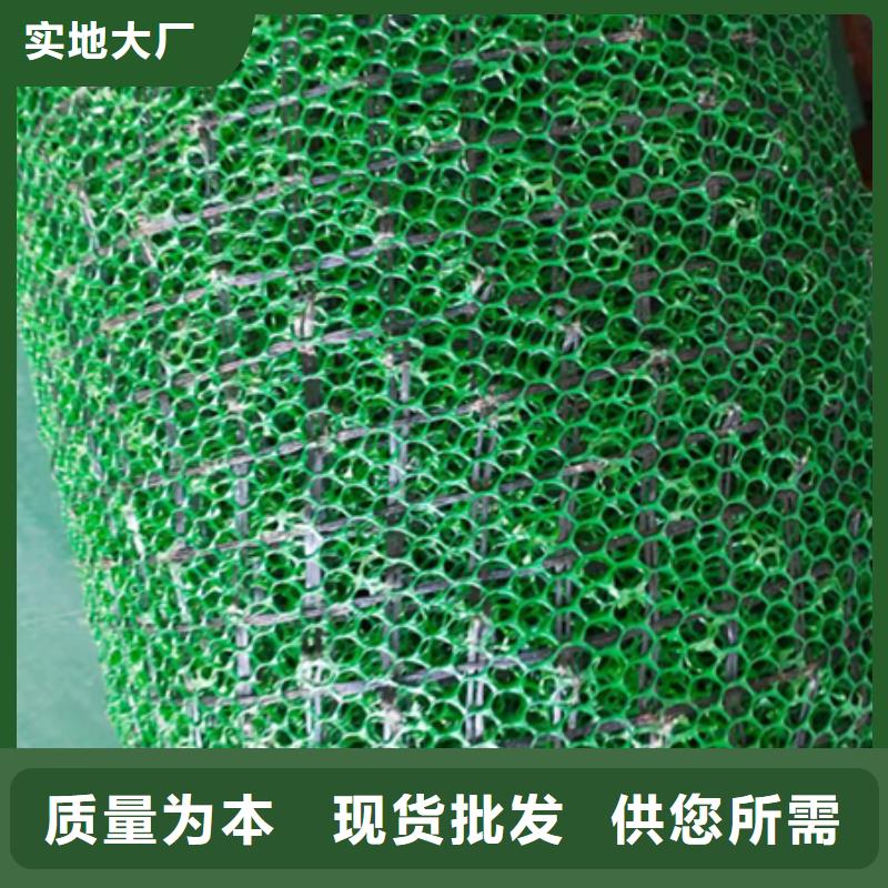 三维植被网涤纶土工格栅订制批发