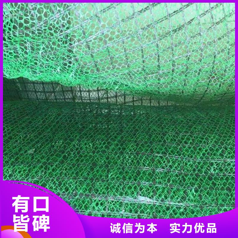三维植被网-加筋布真材实料诚信经营