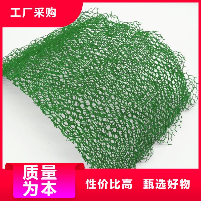 三维植被网三维土工网垫老品牌厂家
