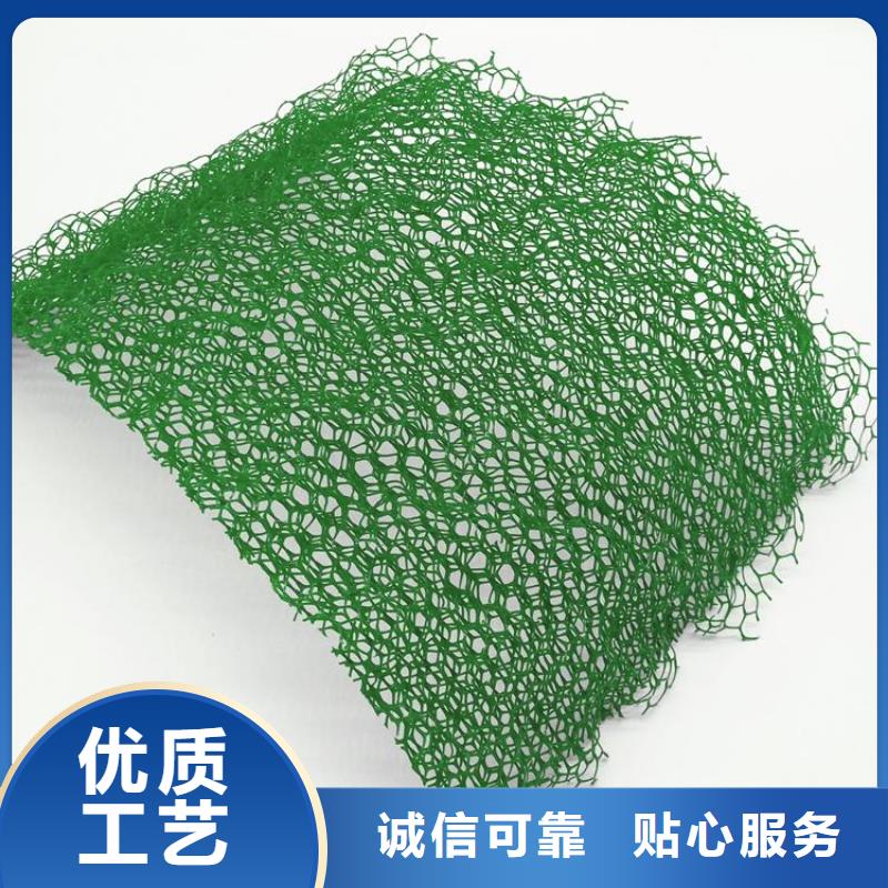 三維植被網(wǎng)雙向塑料格柵做工精細(xì)