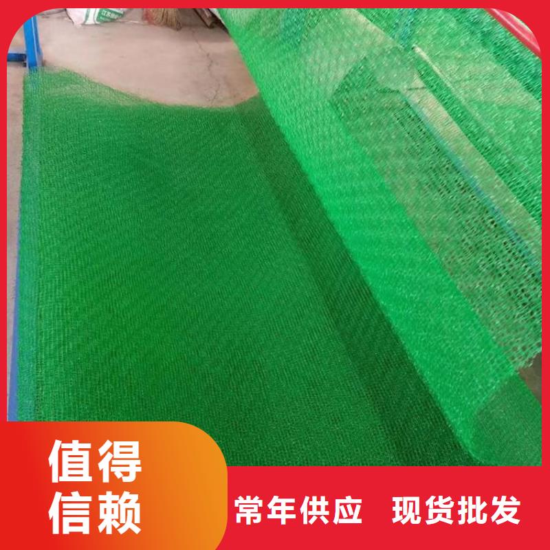 三維植被網(wǎng)土工格室設(shè)計(jì)制造銷售服務(wù)一體
