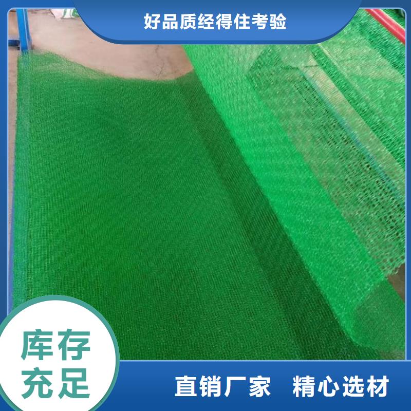 三维植被网凸结点钢塑土工格栅欢迎来电询价
