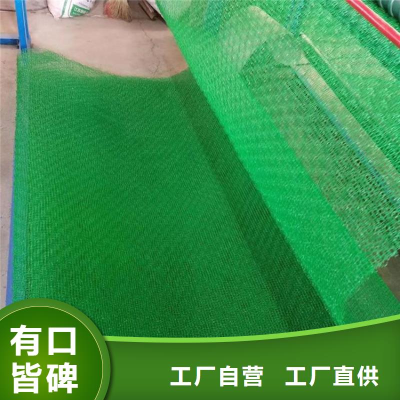 三維植被網(wǎng)無紡布廠家質(zhì)量過硬
