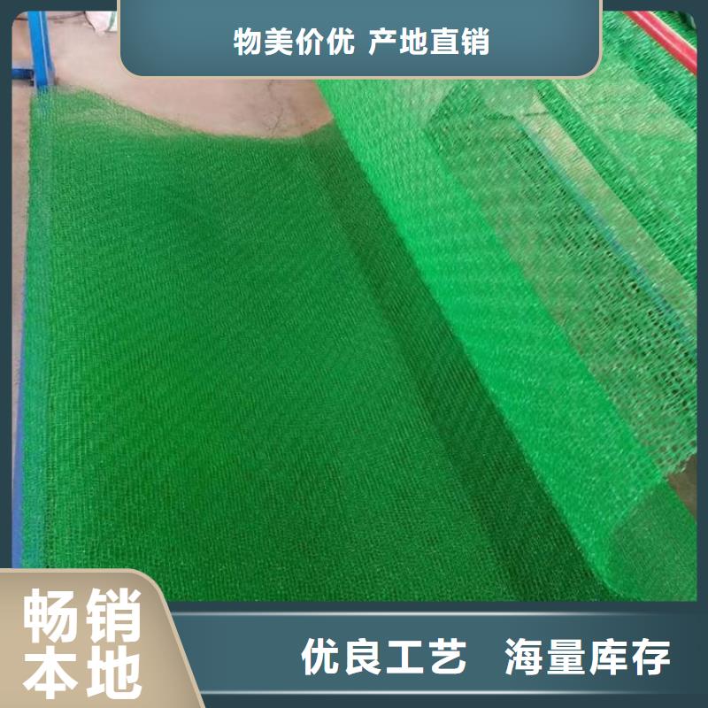 三維植被網(wǎng),透水土工布專注生產(chǎn)制造多年