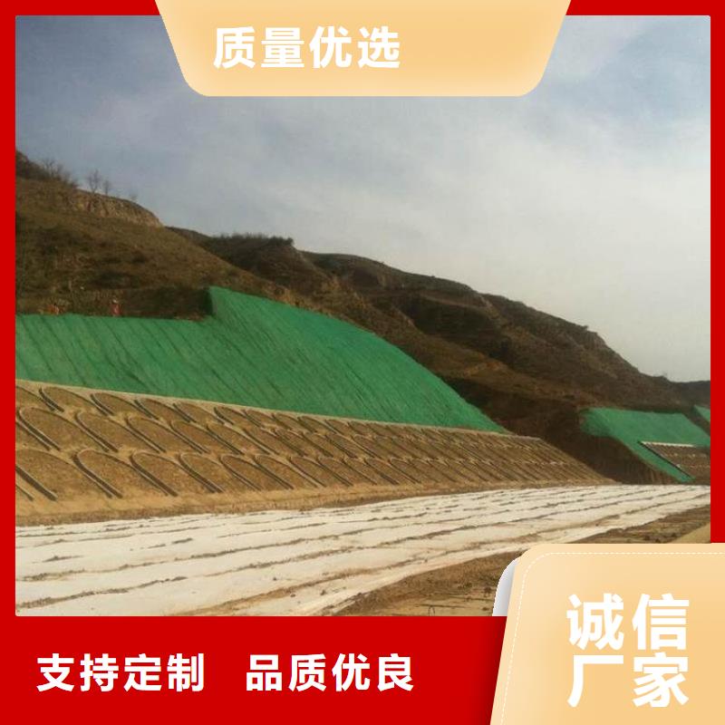 三维植被网涤纶土工格栅订制批发