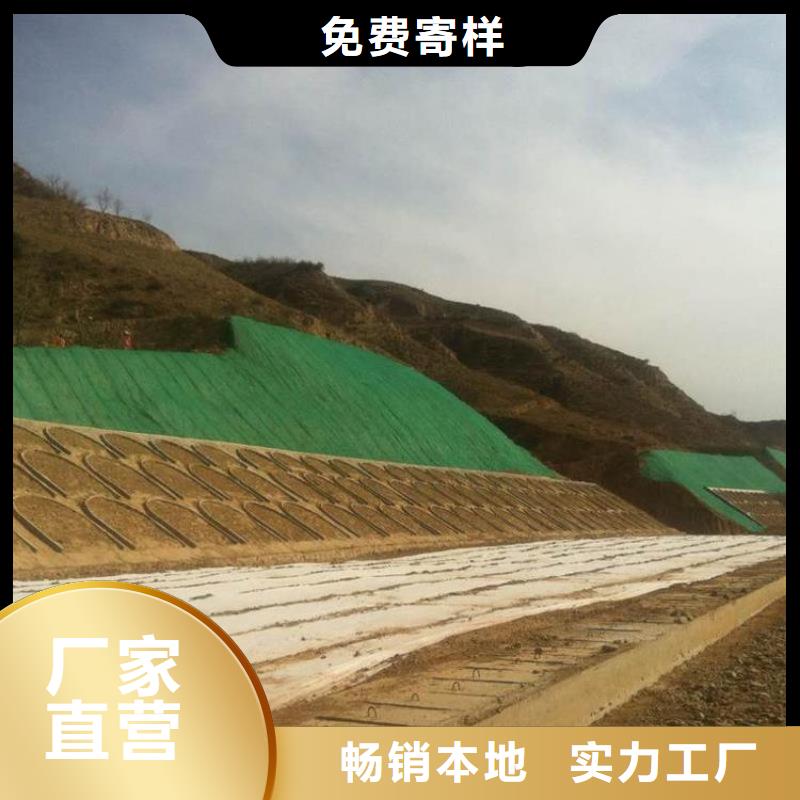 三維植被網(wǎng)護(hù)坡土工網(wǎng)銷售的是誠信