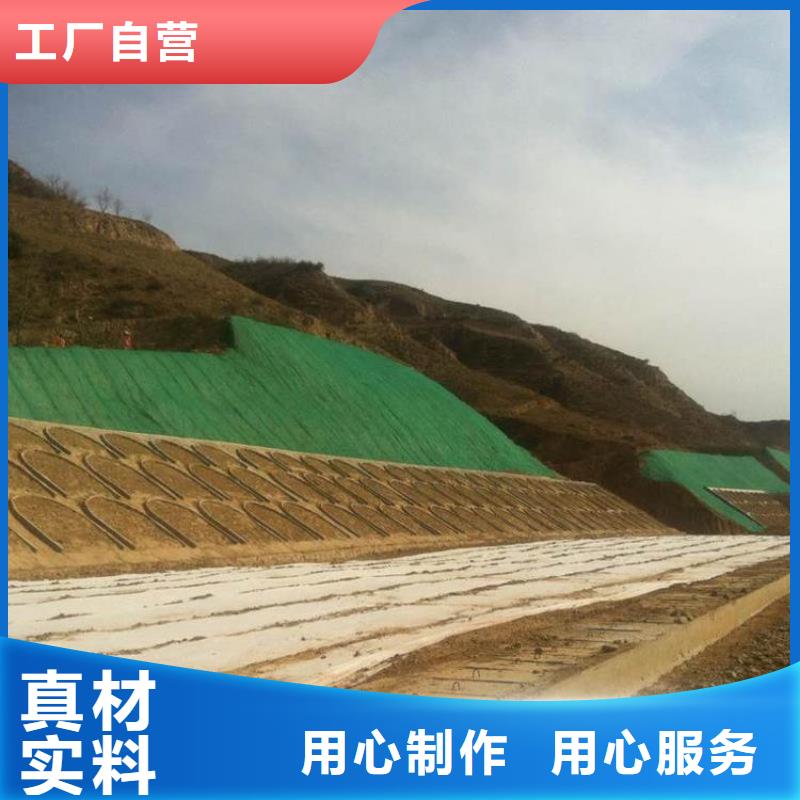 三維植被網(wǎng)土工格室設(shè)計(jì)制造銷售服務(wù)一體