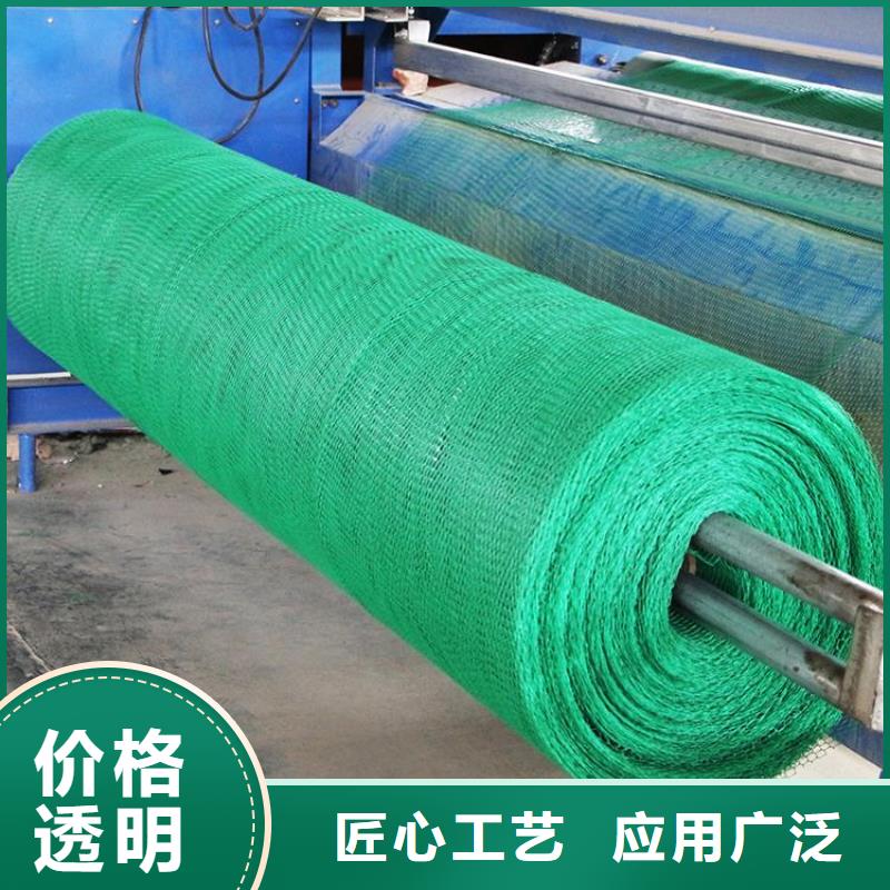 三维植被网三维土工网垫老品牌厂家