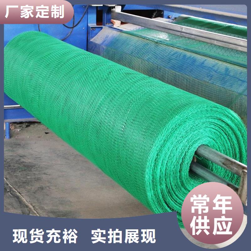 三維植被網(wǎng)滌綸格柵源頭把關放心選購