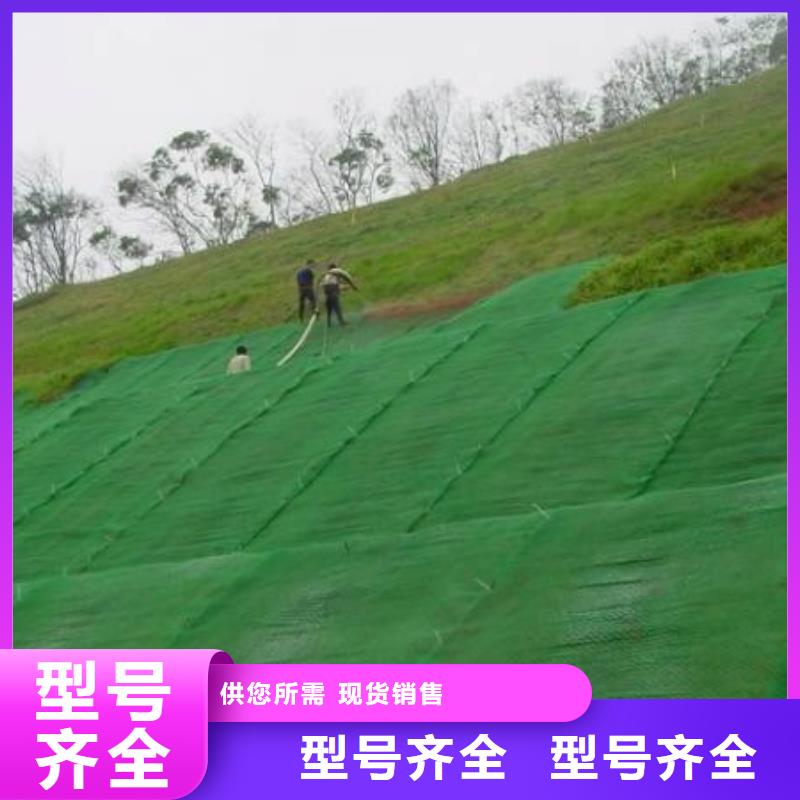 三維植被網(wǎng)復(fù)合土工膜品質(zhì)過硬