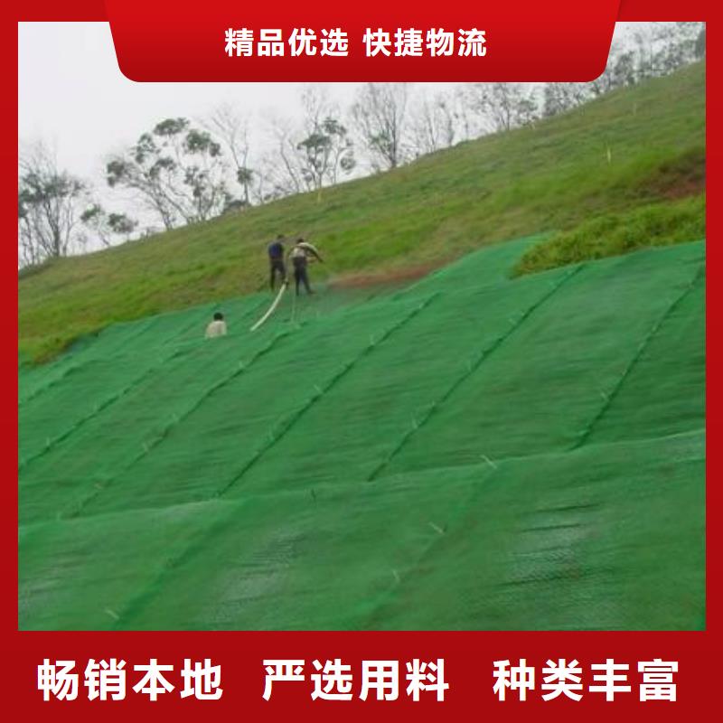 三維植被網(wǎng)土工席墊服務(wù)始終如一