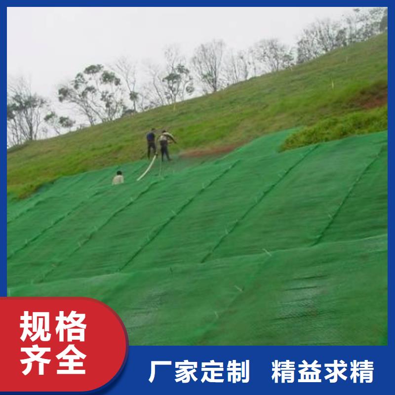 三维植被网土工席垫服务始终如一