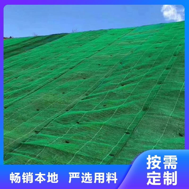 三维植被网土工格室品质之选