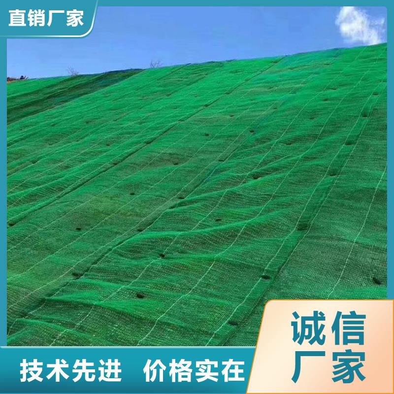 三維植被網(wǎng)_pp焊接土工格柵真正的源頭廠家