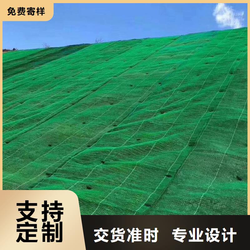 三維植被網(wǎng)滌綸格柵免費(fèi)寄樣