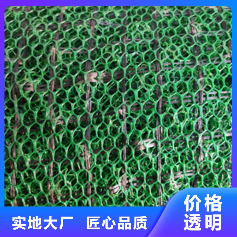 三维植被网复合土工膜用的放心