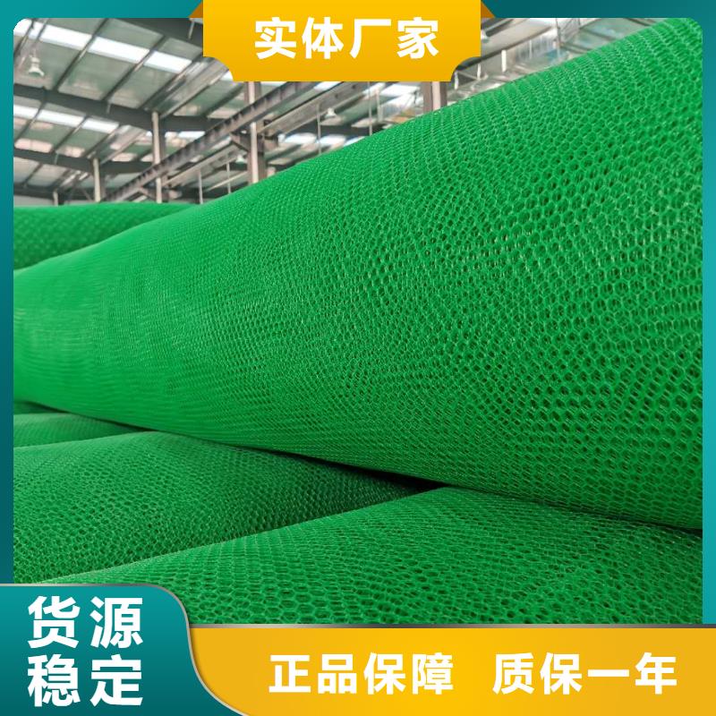 三維植被網(wǎng)土工席墊服務(wù)始終如一