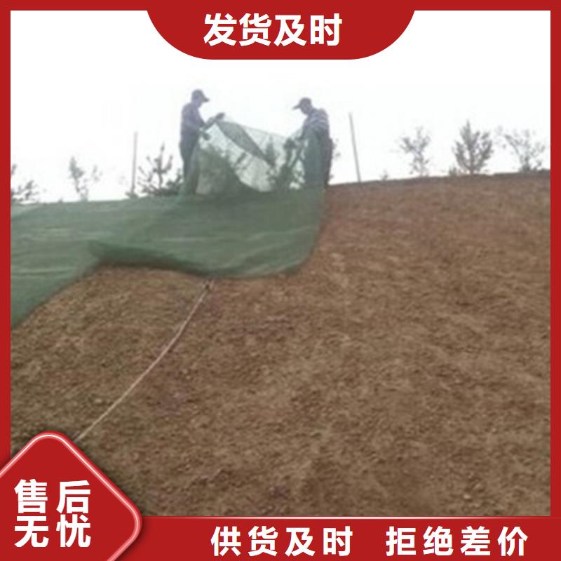 三維植被網(wǎng)護(hù)坡土工網(wǎng)多種優(yōu)勢放心選擇