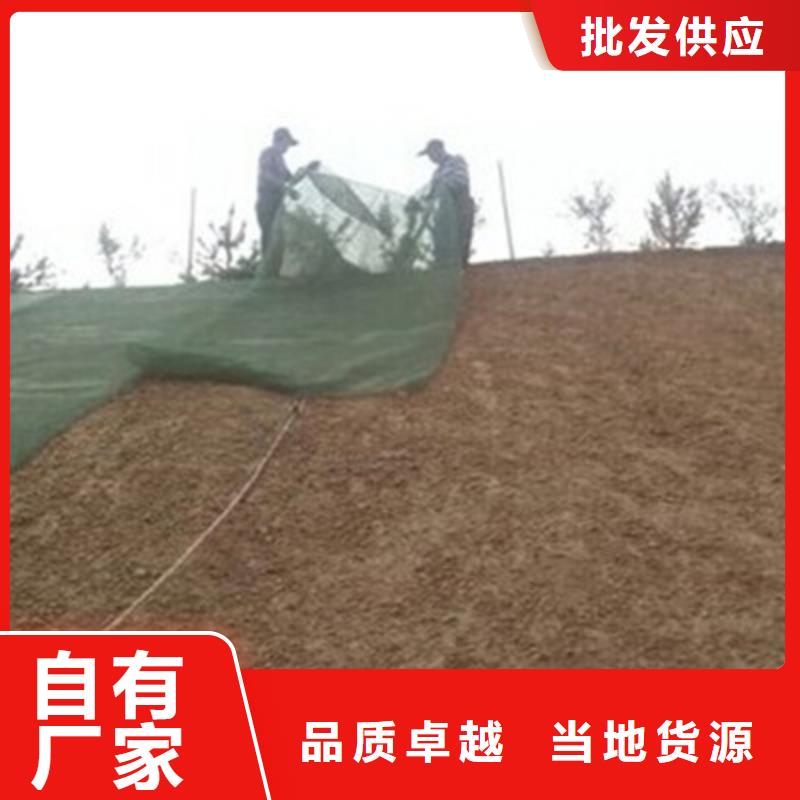 三維植被網(wǎng)三維土工網(wǎng)墊專注細節(jié)更放心