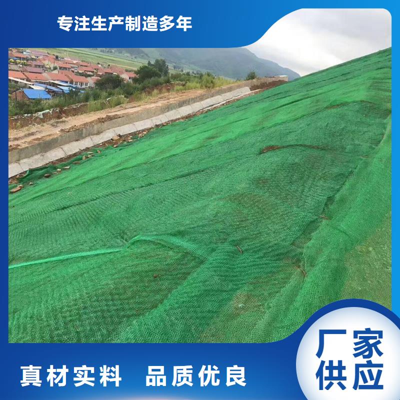 三維植被網(wǎng)護(hù)坡土工網(wǎng)多種優(yōu)勢放心選擇