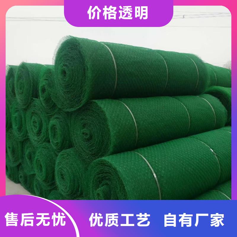 三维植被网无纺布厂家质量过硬